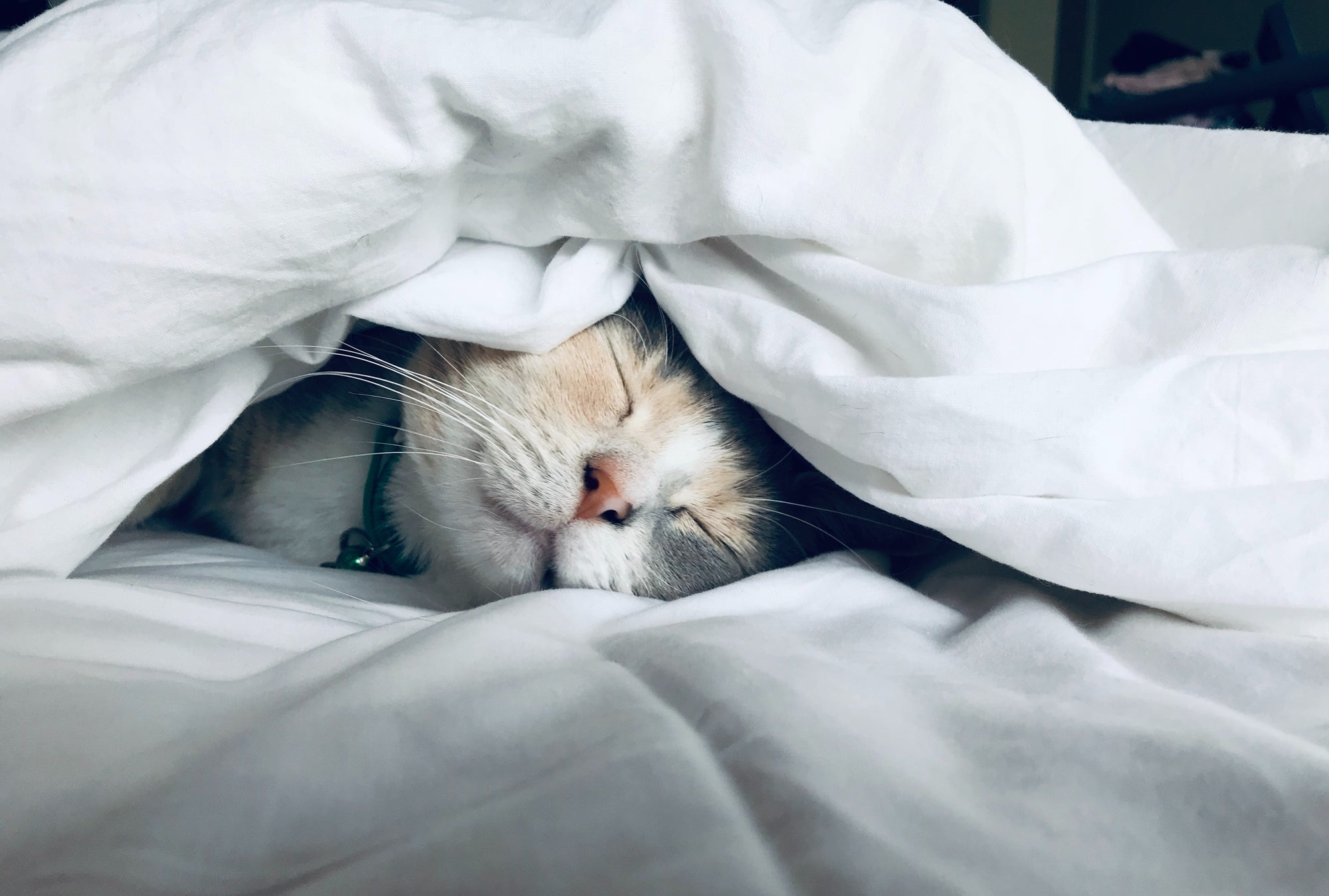 Why sleep matters for college students